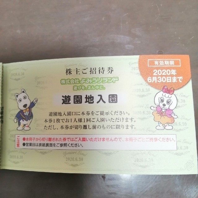 よみうりランド　株主優待券 チケットの施設利用券(遊園地/テーマパーク)の商品写真