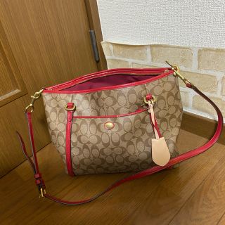 コーチ(COACH)のCOACH バック　大人気　値下げ不可です(ショルダーバッグ)