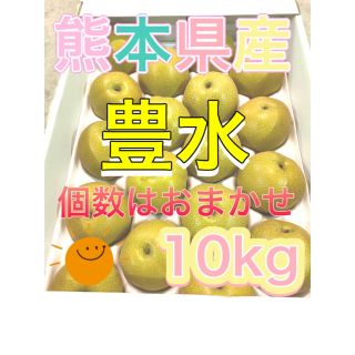 熊本県産豊水10kg家庭用(フルーツ)