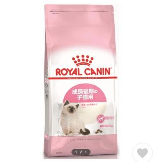 ロイヤルカナン(ROYAL CANIN)のタイムセール！ロイヤルカナン　キトン　10キロ(ペットフード)