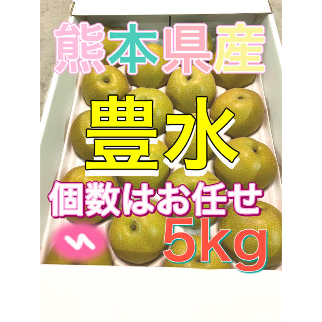 熊本県産豊水5kg家庭用 食品/飲料/酒の食品(フルーツ)の商品写真