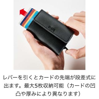 シップス(SHIPS)のモノマスター　付録　ships(折り財布)