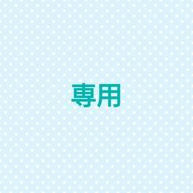 専用 その他のその他(その他)の商品写真