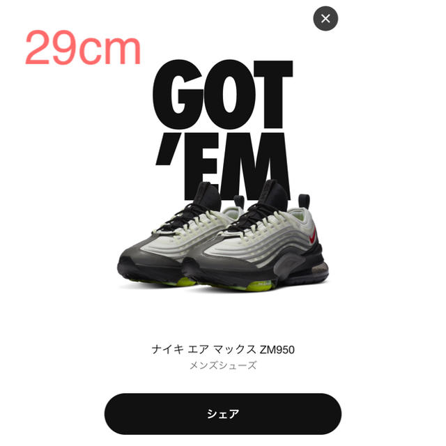 Nike Air max zoom 950 29cm