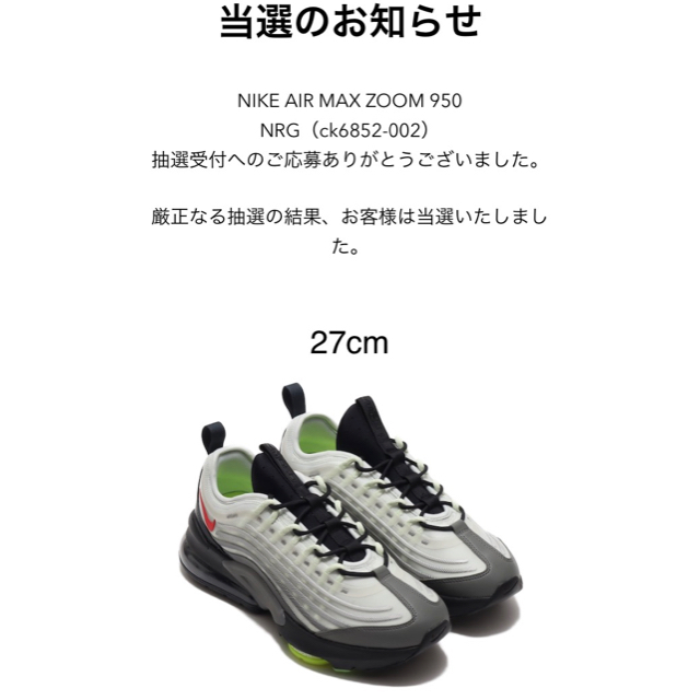 エアマックス　ZOOM 950 27スニーカー