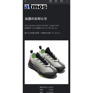 ナイキ(NIKE)のNIKE AIR MAX ZM 950 NRG(スニーカー)