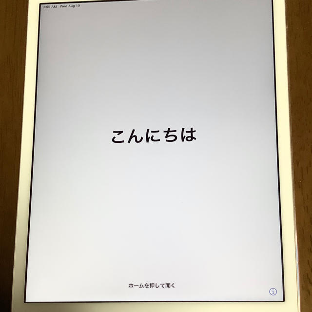 Apple IPad Mini 4 16 GB  ケーブルとプラグ付き