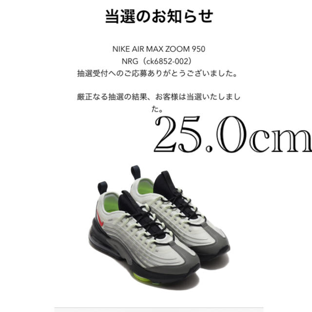 NIKE AIR MAX ZOOM 950 NRG  25.0cmナイキ