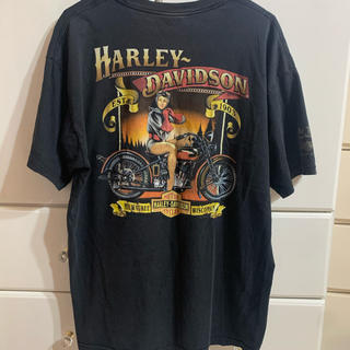 ハーレーダビッドソン(Harley Davidson)のHarley Davidson Tシャツ　古着(Tシャツ(半袖/袖なし))