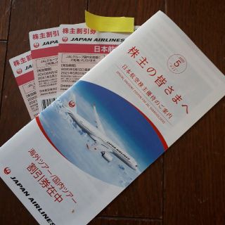 JAL株主優待券3枚➕割引券(その他)