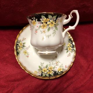 ロイヤルアルバート(ROYAL ALBERT)の美品 ロイヤルアルバート  ロイヤルアスコット デュオ(グラス/カップ)