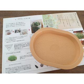 おうちでベジ　スプラウト栽培容器(その他)