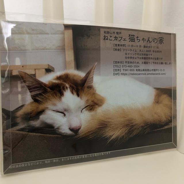 ねこカフェ猫ちゃんの家　2021カレンダー　2冊セット