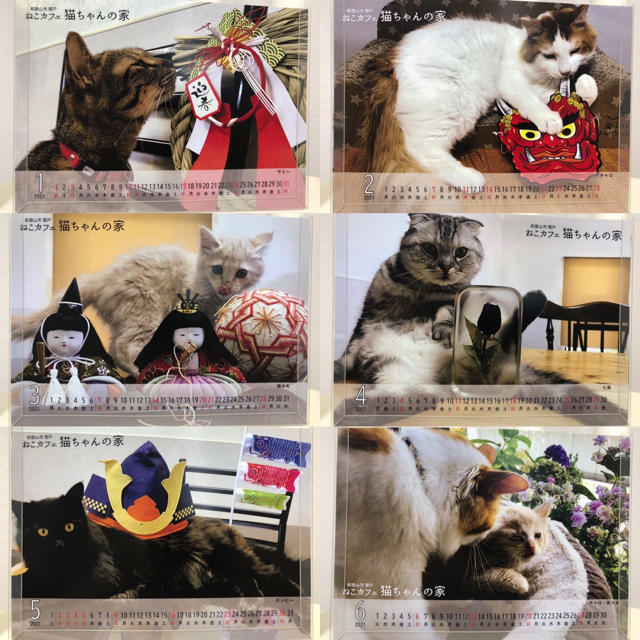 ねこカフェ猫ちゃんの家　2021カレンダー　2冊セット