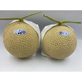 静岡県産　小玉クラウンメロン🍈白等級　2玉(フルーツ)