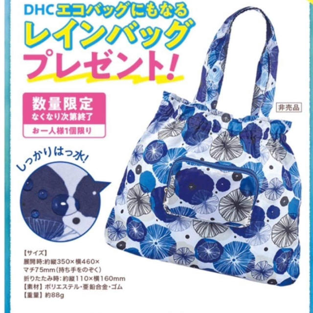 DHC(ディーエイチシー)のDHC エコバッグにもなるレインバッグ レディースのバッグ(エコバッグ)の商品写真