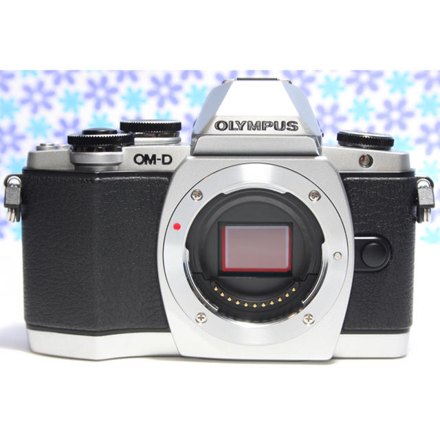 専用☆Wi-fi機能で簡単転送☆OLYMPUS OM-D E-M10☆ 専用☆Wi-fi機能で簡単転送☆OLYMPUS OM-D E-M10☆