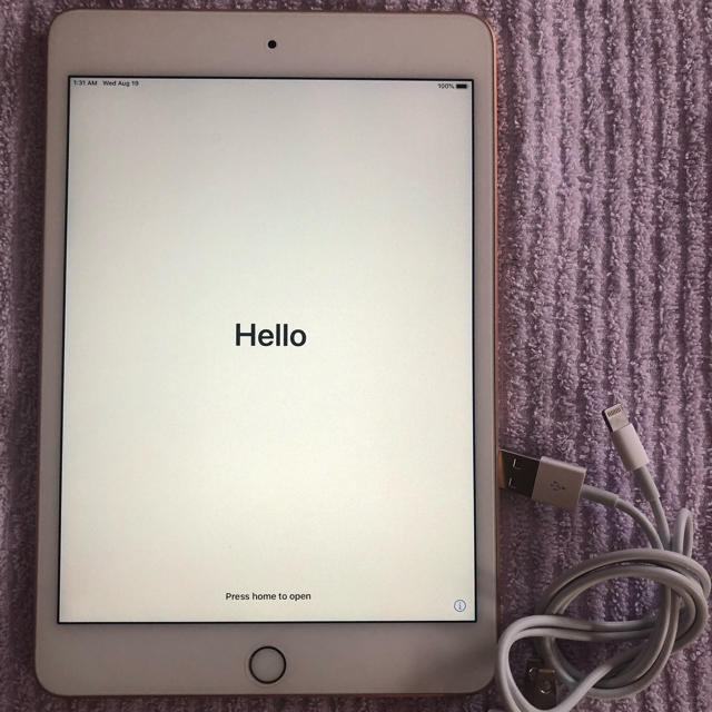 【値下げ】iPad mini 第5世代 Wi-Fiモデル 64GB 美品