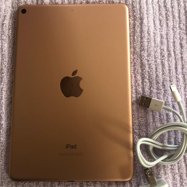【値下げ】iPad mini 第5世代 Wi-Fiモデル 64GB 美品 1