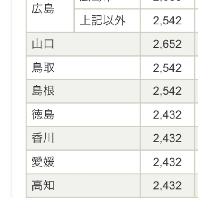 猫脱走防止網