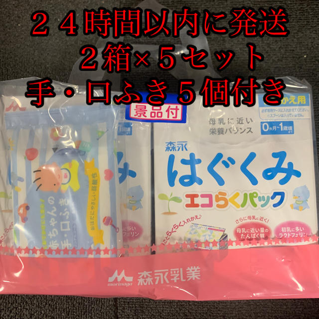 森永 はぐくみ エコらくパック 10箱 森永 はぐくみ エコらくパック 10箱