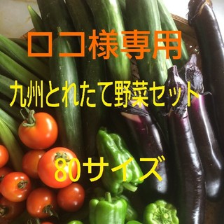 ロコ様専用　クール便(野菜)