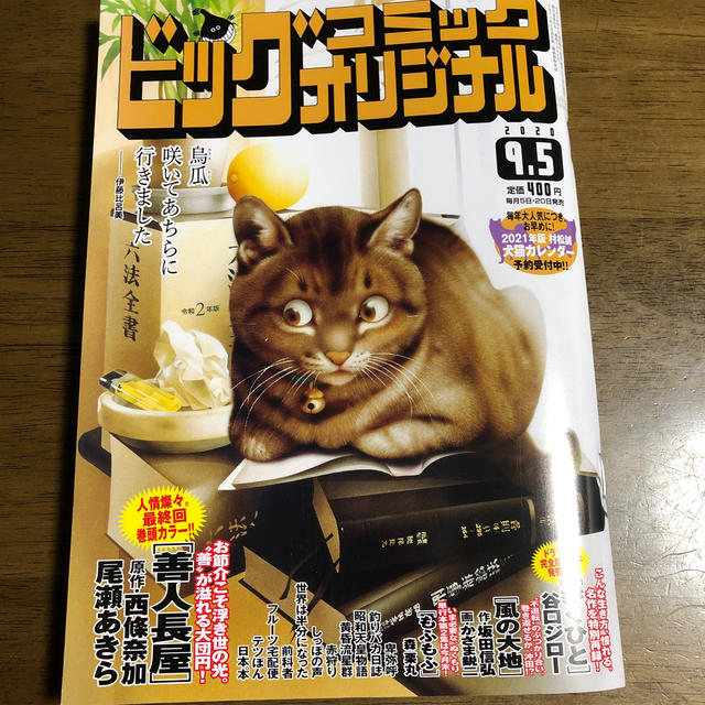 小学館(ショウガクカン)のビッグコミック オリジナル 2020年 9/5号 エンタメ/ホビーの雑誌(アート/エンタメ/ホビー)の商品写真