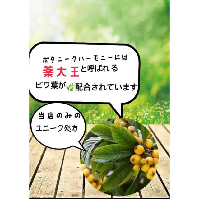 ❤ボタニークハーモニー レベル7 無添加 プレミアム❤2回分 目指せ陶器肌❤