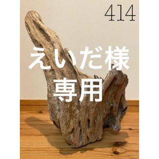 大型　流木【414.420】(置物)