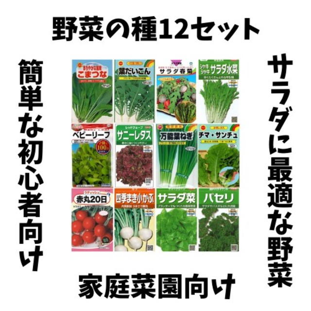 #1【すぐに何度でも収穫できるサラダ野菜の種12セット！】ベランダ、プランター 食品/飲料/酒の食品(野菜)の商品写真