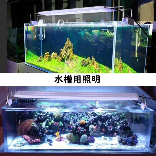 Ledgle 水槽ライト Ledアクアリウムライト 10w 39個led 50 の通販 By める S Shop ラクマ Ledgle 水槽ライト Ledアクアリウムライト 10w 39個led 50 の通販 By める S Shop ラクマ