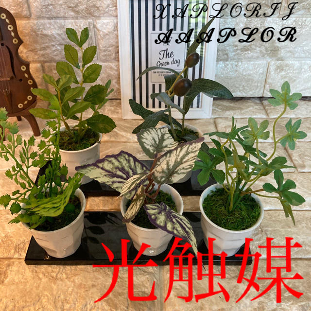 光触媒　人工観葉植物　抗菌消臭　ウォールグリーン　パーチスプレー12553