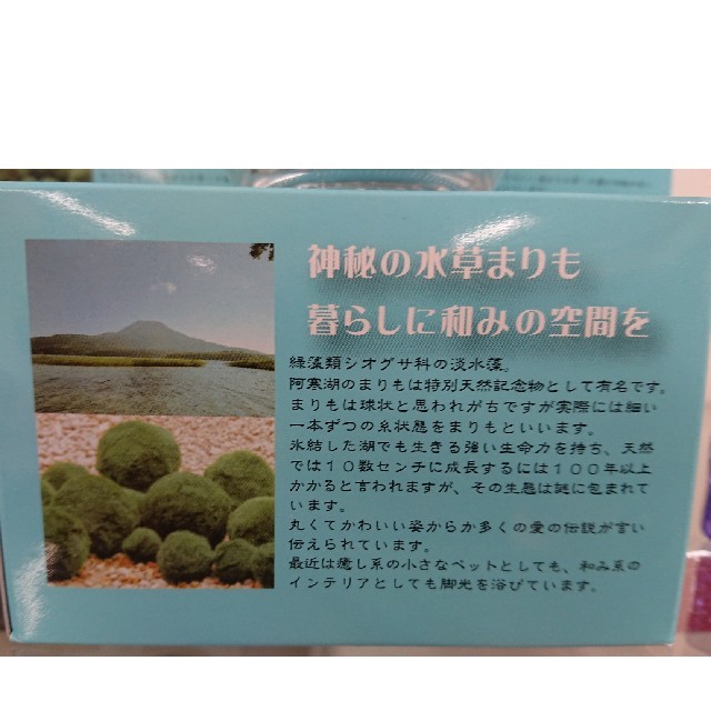 まりも ギフトセット その他のペット用品(その他)の商品写真