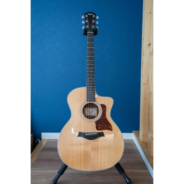 Taylor 214ce-koa 昨年6月購入