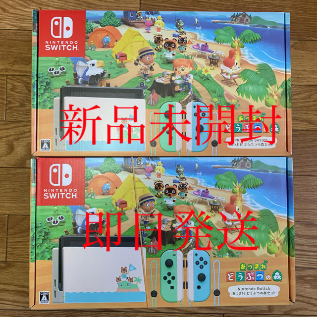 Nintendo Switch - 【新品未開封】Nintendo Switch あつまれどうぶつの森セット　2台