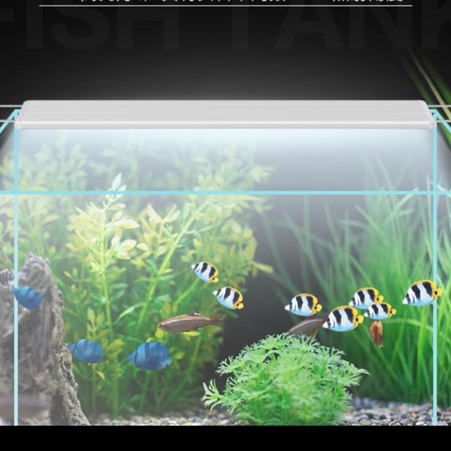 水槽LEDライト　60センチ水槽ライト　長寿命　白色LED 熱帯魚　水草育成n1
