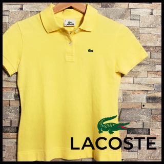 ラコステ(LACOSTE)のラコステ LACOSTE 半袖 ポロシャツ レディースM 鹿の子(ポロシャツ)