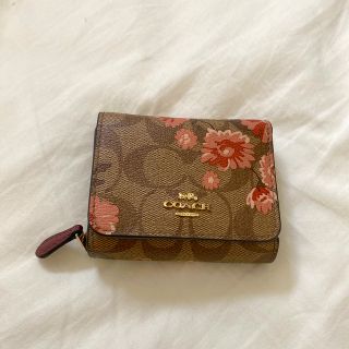 コーチ(COACH)のレア‼︎早い者勝ち‼︎ coach ミニ財布　三つ折り財布(折り財布)