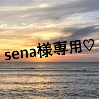 sena様専用(その他)