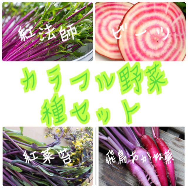 ★伝統野菜★カラフル野菜固定種の種セット 食品/飲料/酒の食品(野菜)の商品写真