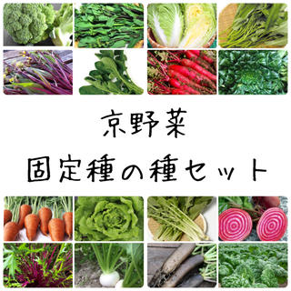 ★京野菜★固定種の種セット(野菜)
