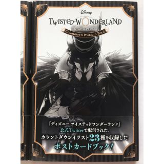 ディズニー(Disney)の新品未開封ディズニーツイステッドワンダーランド カウントダウンポストカードブック(アート/エンタメ)