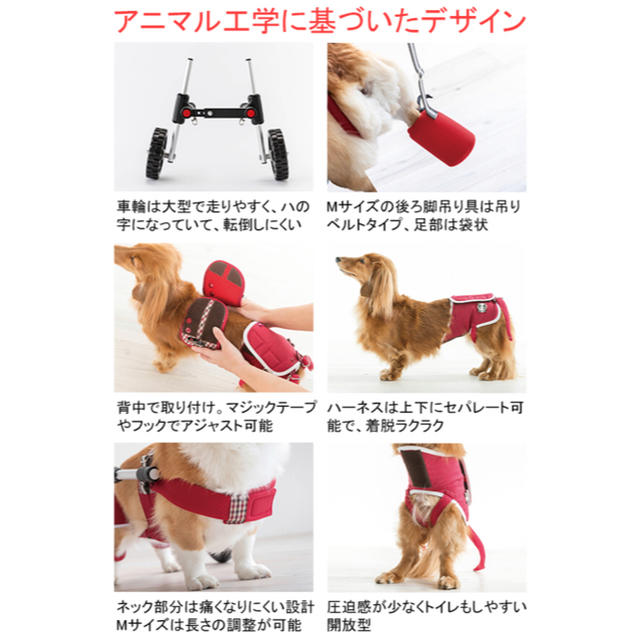 犬の車椅子 ドギーサポーターM(レッド) | www.innoveering.net