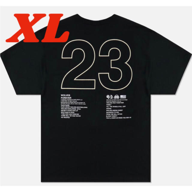 Darc Sport 新作チャンピオンコラボTシャツ XL