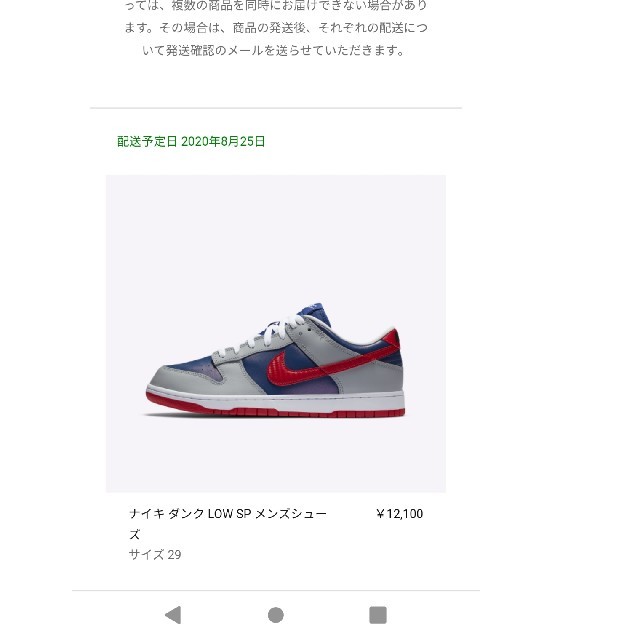 Nike Dunk Low SP Samba 2