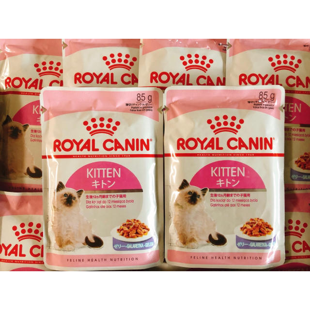 ROYAL CANIN(ロイヤルカナン)のロイヤルカナン  子猫 ウェット キトン ゼリー 11袋 その他のペット用品(ペットフード)の商品写真