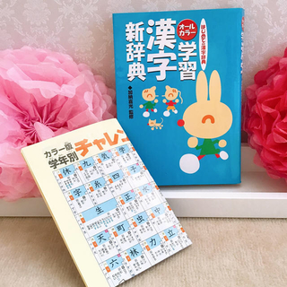 ショウガクカン(小学館)のオールカラー　学習漢字新辞典　はじめての漢字辞書(語学/参考書)