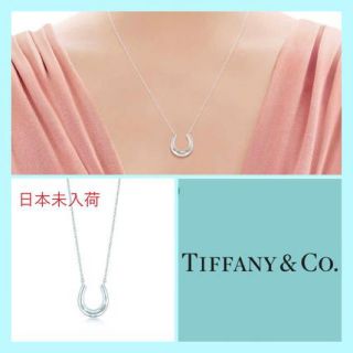 ティファニー(Tiffany & Co.)のSAKURA様専用(ネックレス)