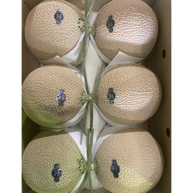 静岡　高級アールスメロン　白6玉　隔離栽培　アローマフルーツ