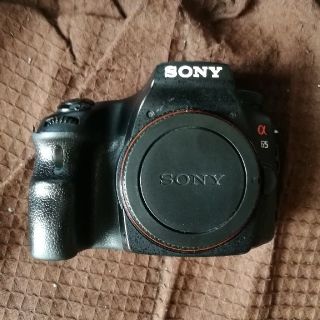 【ジャンク】SONY α65 ボディ SLT-A65V(デジタル一眼)